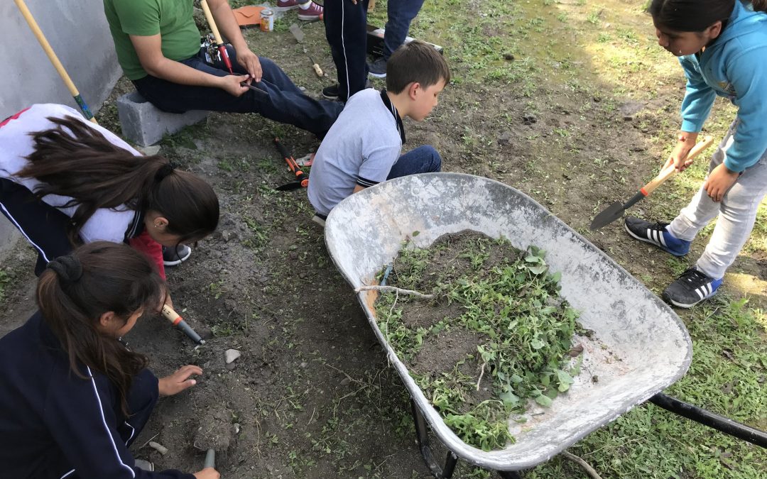La realidad del trabajo infantil en México