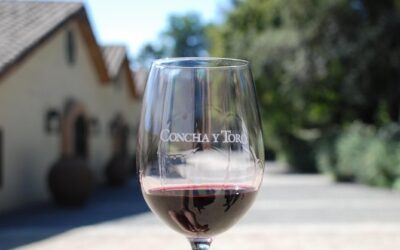 Ranking internacional Brand Finance ubica a Concha y Toro entre las 10 marcas de vino más valiosas del mundo