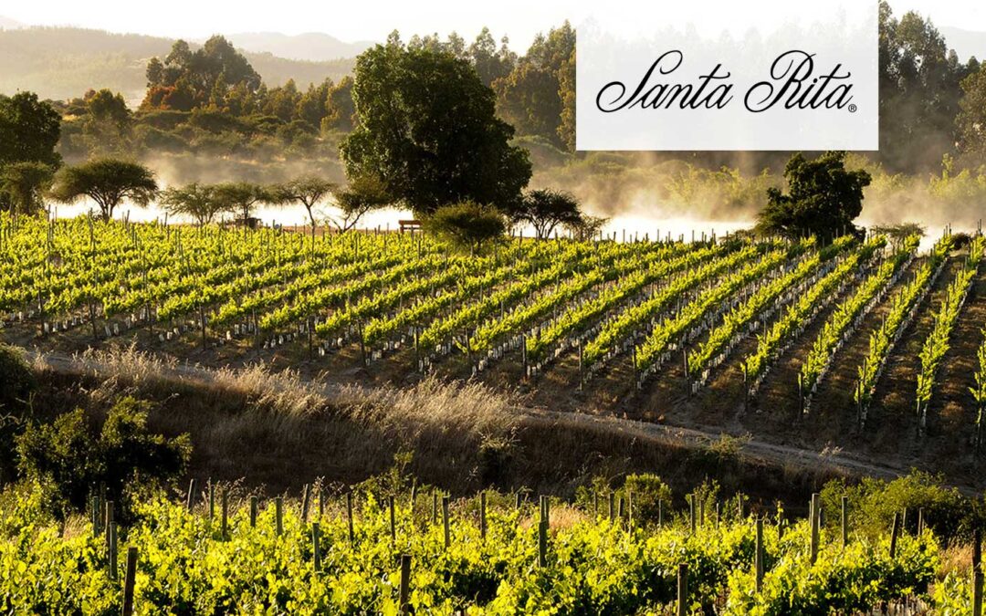Santa Rita: Más de 140 años de legado, innovación y compromiso con el vino chileno