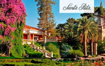 Viña Santa Ritacomo la mejor viña del Mundo