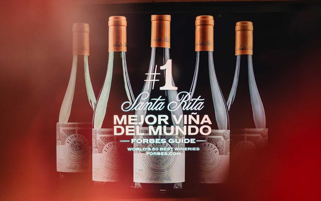 Santa Rita refuerza su expansión en México con IDI tras ser reconocida como la mejor viña del mundo