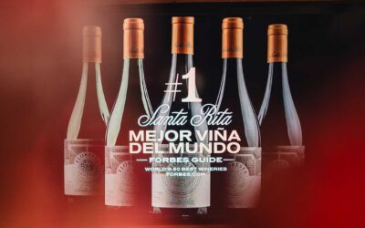 Santa Rita refuerza su expansión en México con IDI tras ser reconocida como la mejor viña del mundo